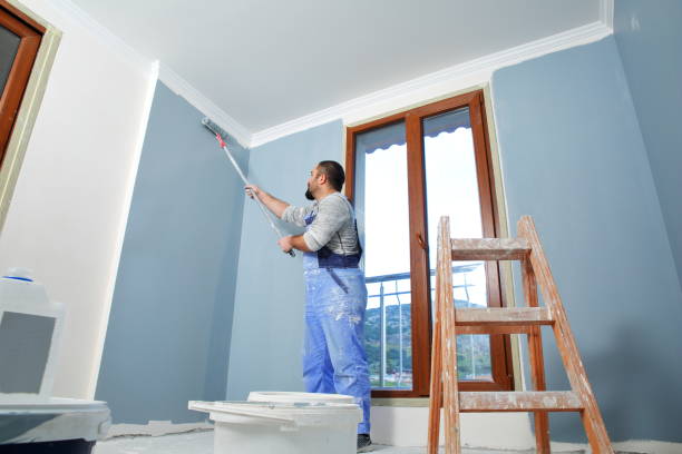 Best Mold Remediation for Healthcare Facilities  in Laurium, MI