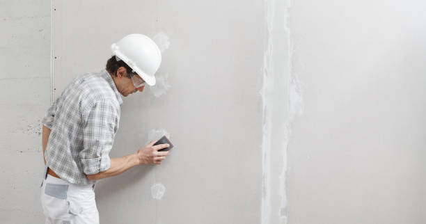 Best Mold Damage Restoration  in Laurium, MI