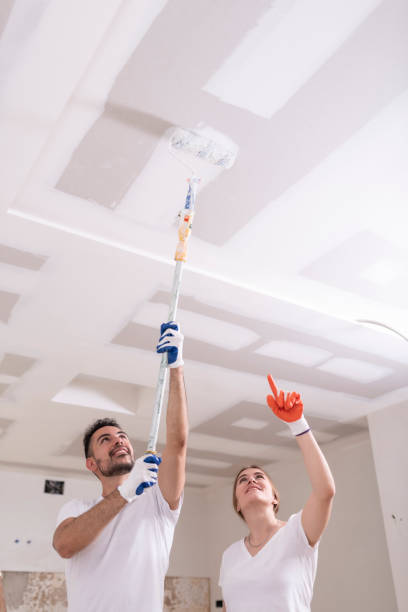 Best Indoor Air Quality Assessment  in Laurium, MI
