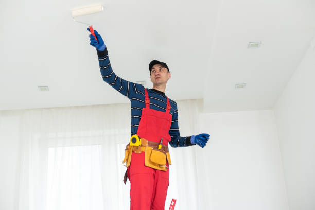  Laurium, MI Mold Removal Pros