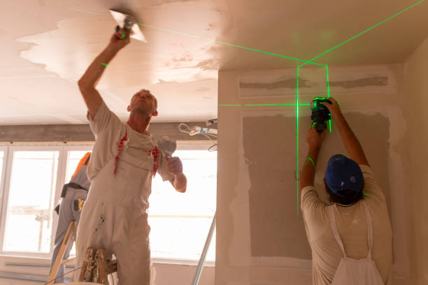 Mold Odor Removal Services in Laurium, MI