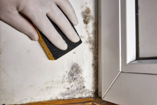 Best Residential Mold Inspection & Testing  in Laurium, MI