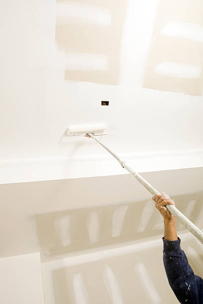 Best Emergency Mold Remediation  in Laurium, MI