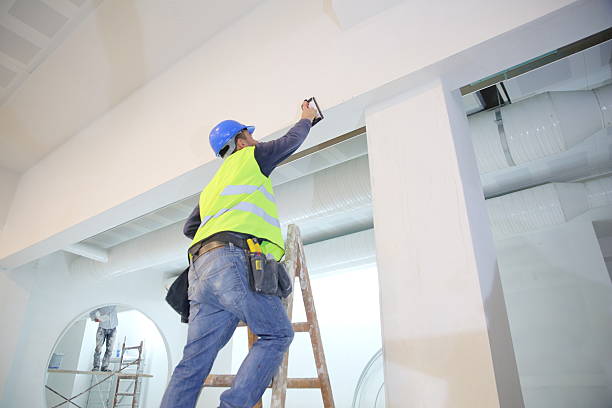Best Mold Remediation for Healthcare Facilities  in Laurium, MI