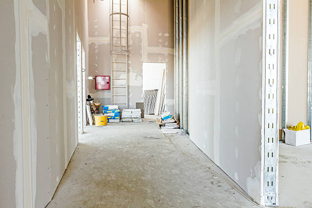 Reliable Laurium, MI Mold Removal Solutions